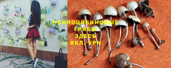 хмурый Баксан